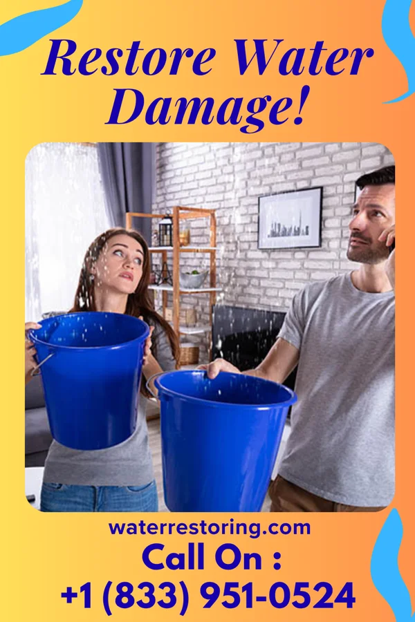 water restoration Victory Water Mitigation Authority North Druid Hills